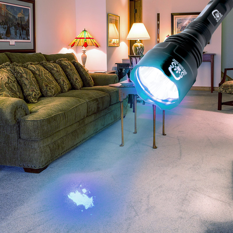 Stainout Systems Uv Black Light Flashlight Kit for Pet Urine and Stains